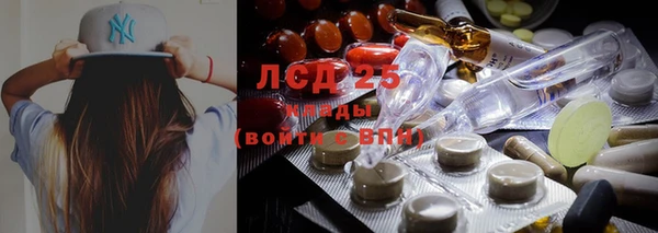 шишки Остров