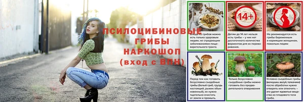 шишки Остров